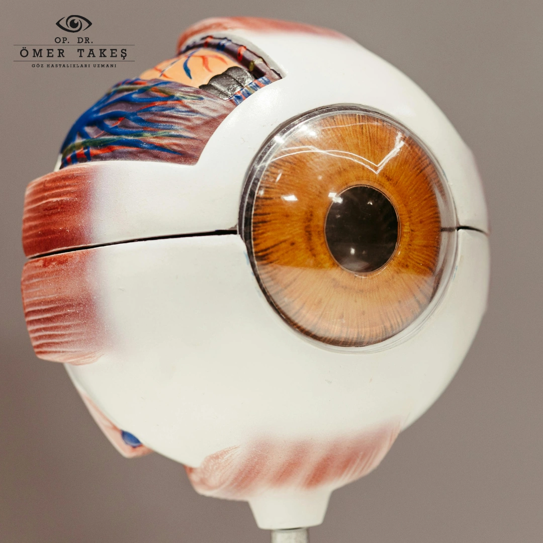 Anestezi Türleri Ve Konfor Yönetimi